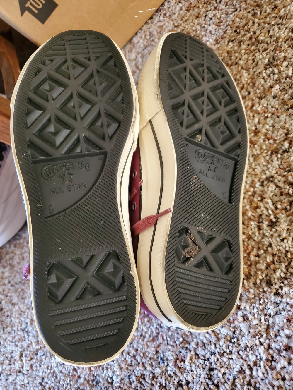 Suede Platform Sneakers
